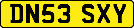 DN53SXY