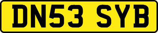 DN53SYB