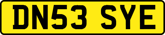 DN53SYE