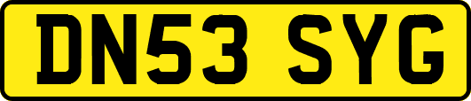 DN53SYG