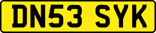 DN53SYK