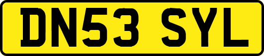 DN53SYL