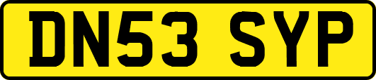 DN53SYP