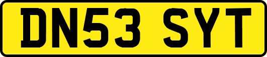 DN53SYT