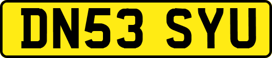 DN53SYU