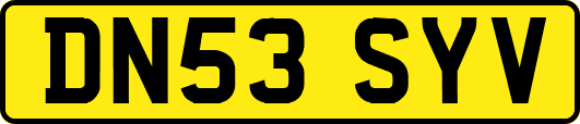 DN53SYV