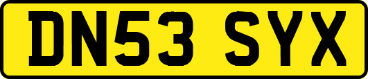 DN53SYX
