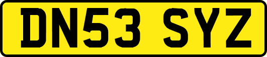 DN53SYZ