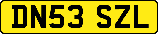 DN53SZL