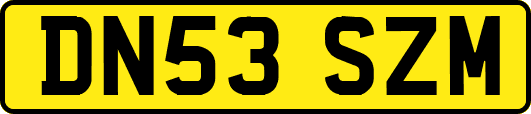 DN53SZM