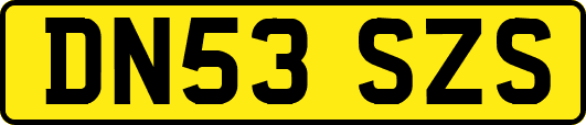 DN53SZS