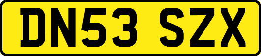 DN53SZX