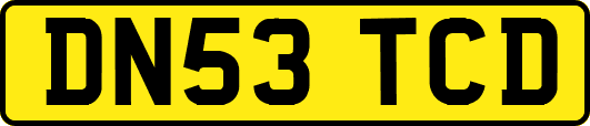 DN53TCD