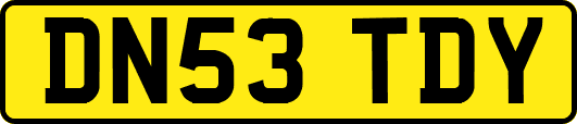 DN53TDY