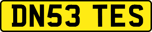 DN53TES