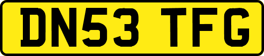 DN53TFG