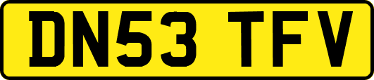 DN53TFV