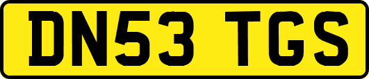 DN53TGS