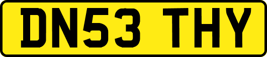 DN53THY