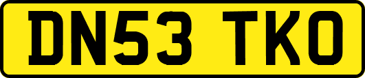 DN53TKO