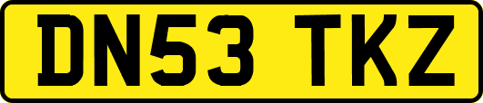 DN53TKZ