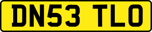 DN53TLO