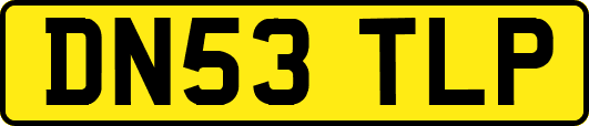 DN53TLP