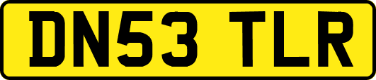 DN53TLR