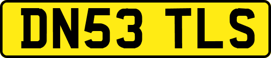DN53TLS