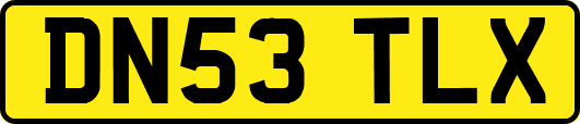 DN53TLX