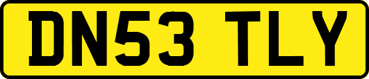 DN53TLY