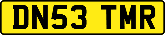 DN53TMR