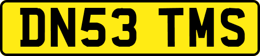 DN53TMS