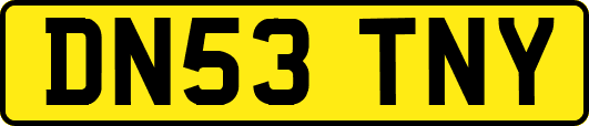 DN53TNY