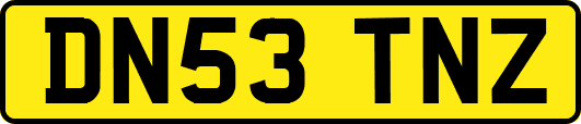 DN53TNZ