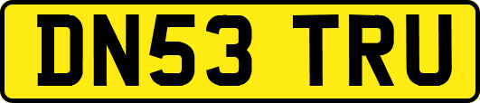 DN53TRU