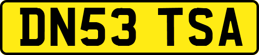 DN53TSA