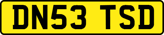 DN53TSD