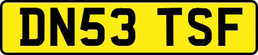 DN53TSF