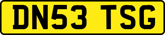 DN53TSG