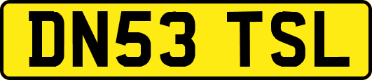 DN53TSL