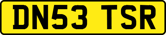 DN53TSR
