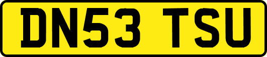 DN53TSU