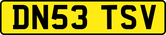 DN53TSV