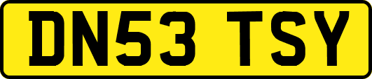 DN53TSY