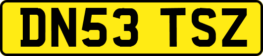 DN53TSZ