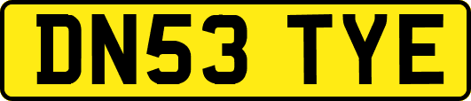 DN53TYE