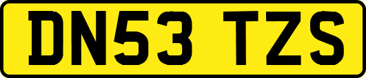 DN53TZS