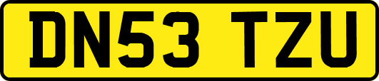 DN53TZU