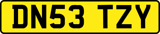 DN53TZY
